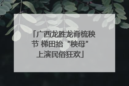 广西龙胜龙脊梳秧节 梯田抬“秧母”上演民俗狂欢