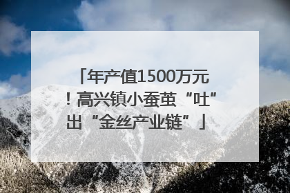 年产值1500万元！高兴镇小蚕茧“吐”出“金丝产业链”