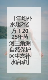 年均补水超2亿方！2025年黄河三角洲自然保护区生态补水启动