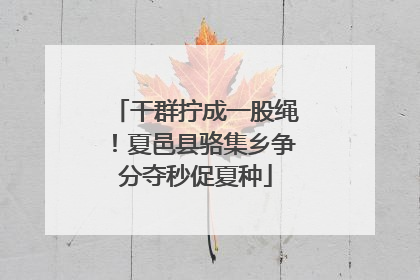 干群拧成一股绳！夏邑县骆集乡争分夺秒促夏种