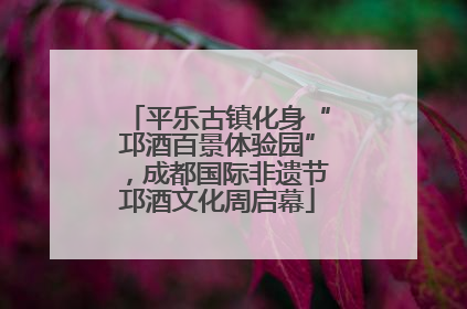 平乐古镇化身“邛酒百景体验园”，成都国际非遗节邛酒文化周启幕