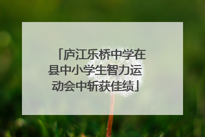 庐江乐桥中学在县中小学生智力运动会中斩获佳绩