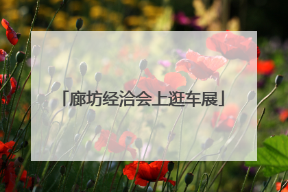 廊坊经洽会上逛车展