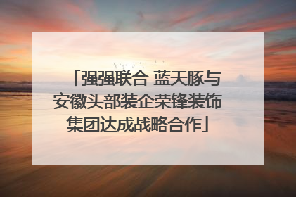 强强联合 蓝天豚与安徽头部装企荣锋装饰集团达成战略合作