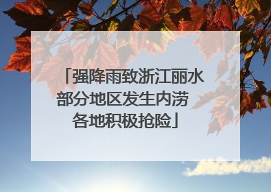 强降雨致浙江丽水部分地区发生内涝 各地积极抢险