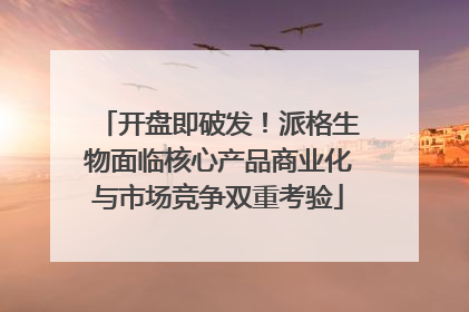开盘即破发！派格生物面临核心产品商业化与市场竞争双重考验
