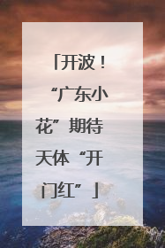 开波！“广东小花”期待天体“开门红”