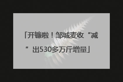 开镰啦！邹城麦收“减”出530多万斤增量