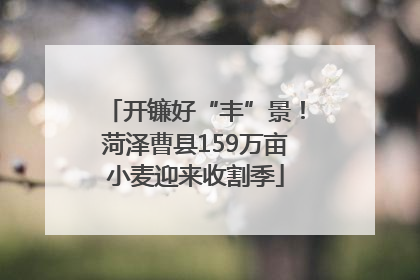 开镰好“丰”景！菏泽曹县159万亩小麦迎来收割季