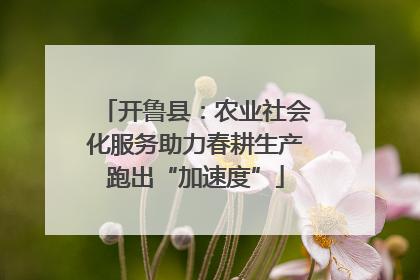 开鲁县：农业社会化服务助力春耕生产跑出“加速度”