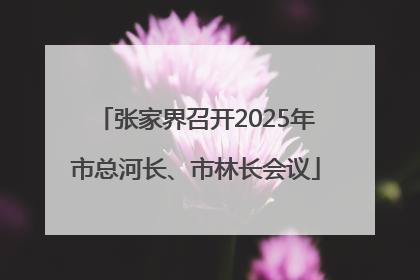 张家界召开2025年市总河长、市林长会议
