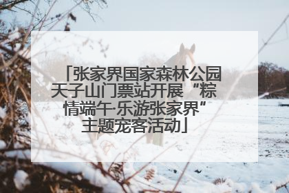 张家界国家森林公园天子山门票站开展“粽情端午·乐游张家界”主题宠客活动