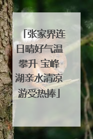 张家界连日晴好气温攀升 宝峰湖亲水清凉游受热捧