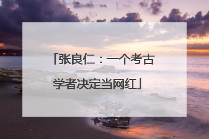 张良仁：一个考古学者决定当网红