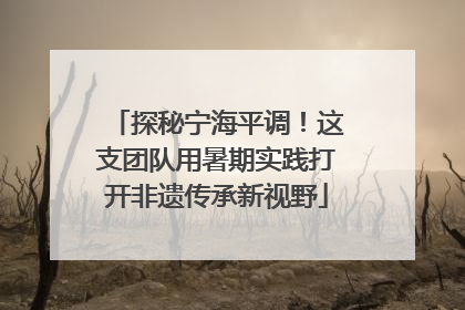 探秘宁海平调！这支团队用暑期实践打开非遗传承新视野