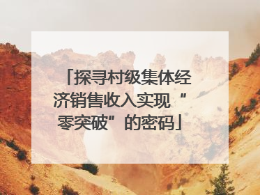 探寻村级集体经济销售收入实现“零突破”的密码