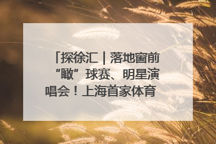 探徐汇｜落地窗前“瞰”球赛、明星演唱会！上海首家体育特色高端酒店亮相