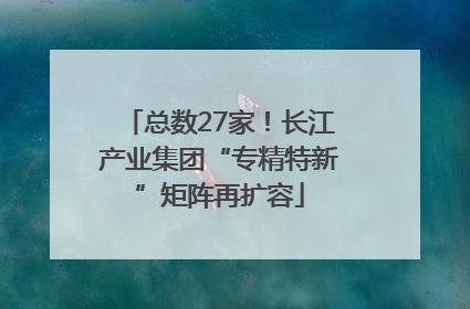 总数27家!长江产业集团“专精特新”矩阵再扩容