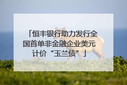 恒丰银行助力发行全国首单非金融企业美元计价“玉兰债”