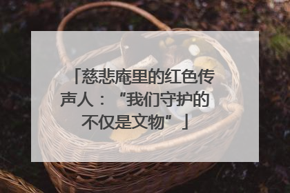 慈悲庵里的红色传声人：“我们守护的不仅是文物”