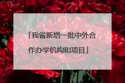 我省新增一批中外合作办学机构和项目