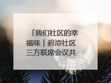 我们社区的幸福味｜碧潭社区三方联席会议共建紫岫幸福家