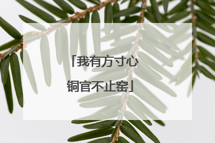 我有方寸心 铜官不止窑