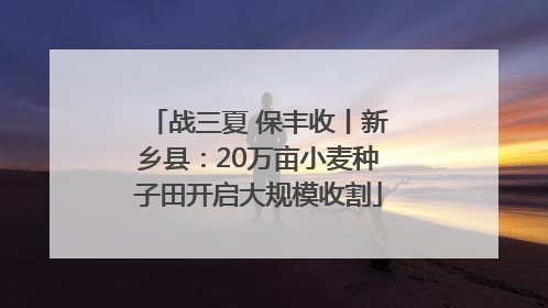 战三夏 保丰收丨新乡县：20万亩小麦种子田开启大规模收割