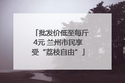 批发价低至每斤4元 兰州市民享受“荔枝自由”