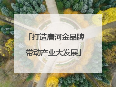 打造唐河金品牌 带动产业大发展