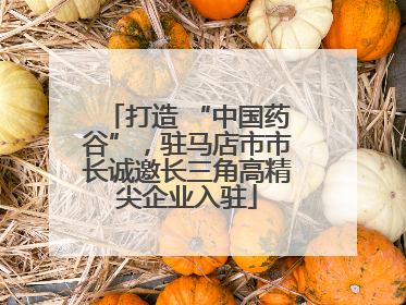打造 “中国药谷”，驻马店市市长诚邀长三角高精尖企业入驻