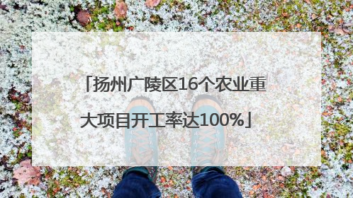 扬州广陵区16个农业重大项目开工率达100%