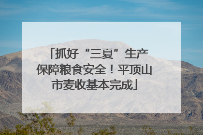抓好“三夏”生产 保障粮食安全！平顶山市麦收基本完成
