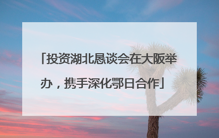 投资湖北恳谈会在大阪举办，携手深化鄂日合作