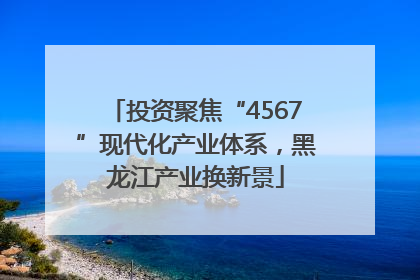 投资聚焦“4567”现代化产业体系，黑龙江产业换新景