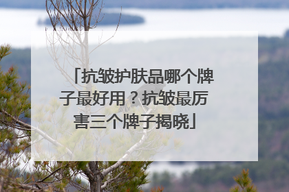 抗皱护肤品哪个牌子最好用？抗皱最厉害三个牌子揭晓