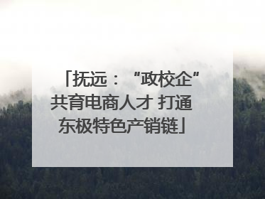 抚远：“政校企”共育电商人才 打通东极特色产销链