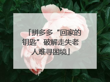 拼多多“回家的钥匙”破解走失老人难寻困境