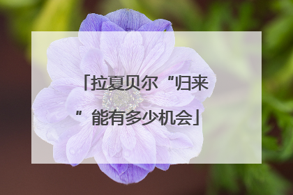 拉夏贝尔“归来”能有多少机会