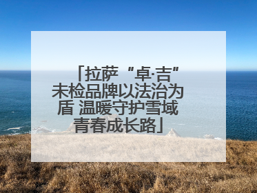 拉萨“卓·吉”未检品牌以法治为盾 温暖守护雪域青春成长路