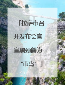 拉萨市召开发布会官宣黑颈鹤为“市鸟”