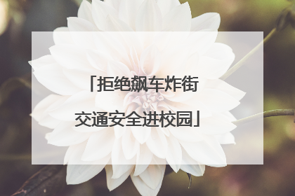 拒绝飙车炸街 交通安全进校园