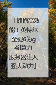 拥抱高效能！英特尔至强6为g4il算力服务器注入强大动力