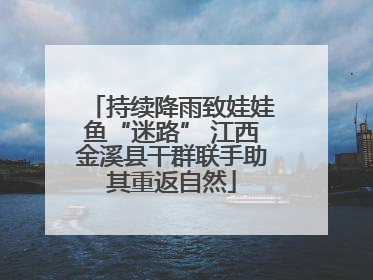 持续降雨致娃娃鱼“迷路” 江西金溪县干群联手助其重返自然