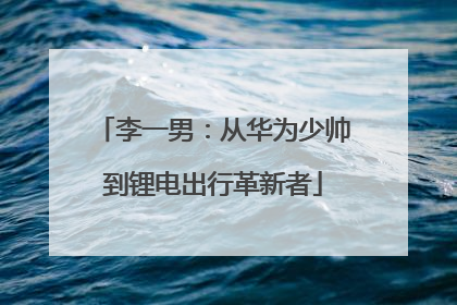 李一男：从华为少帅到锂电出行革新者