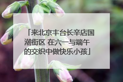来北京丰台长辛店国潮街区 在六一与端午的交织中做快乐小孩