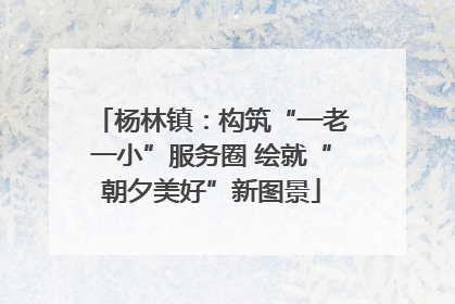 杨林镇：构筑“一老一小”服务圈 绘就“朝夕美好”新图景
