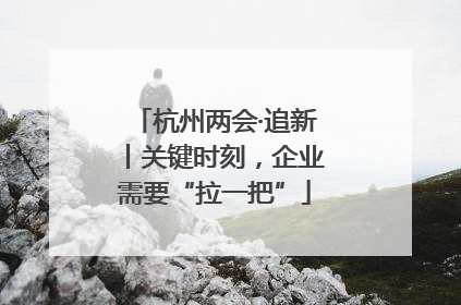 杭州两会·追新丨关键时刻，企业需要“拉一把”