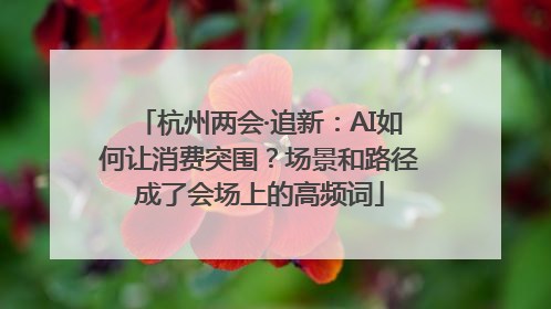 杭州两会·追新：AI如何让消费突围？场景和路径成了会场上的高频词