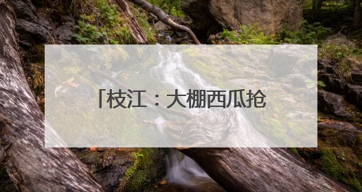 枝江：大棚西瓜抢“鲜”上市 激活乡村“甜蜜经济”